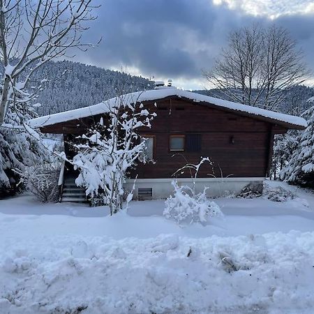 فيلا Chalet Situe Au Grand Valtin Ban-sur-Meurthe-Clefcy المظهر الخارجي الصورة