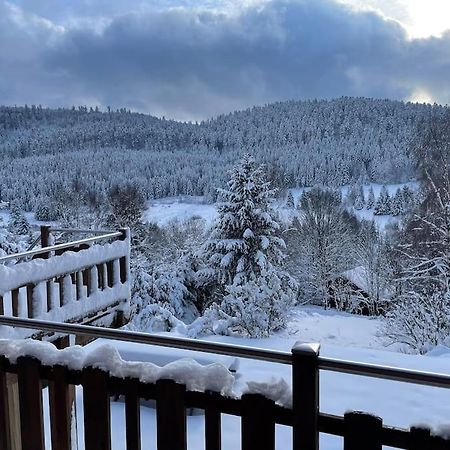 فيلا Chalet Situe Au Grand Valtin Ban-sur-Meurthe-Clefcy المظهر الخارجي الصورة