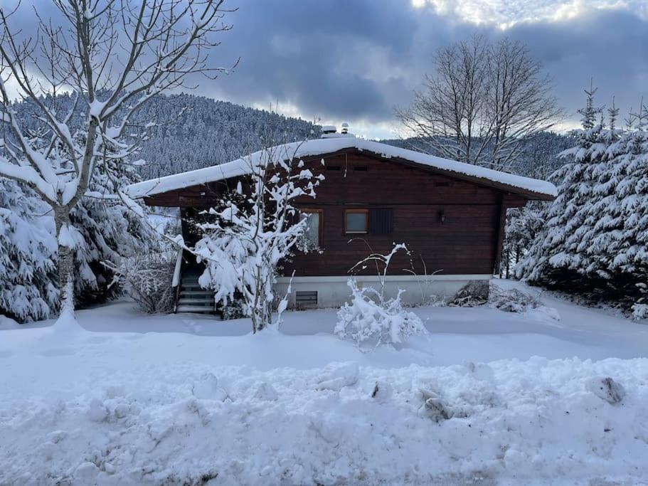 فيلا Chalet Situe Au Grand Valtin Ban-sur-Meurthe-Clefcy المظهر الخارجي الصورة